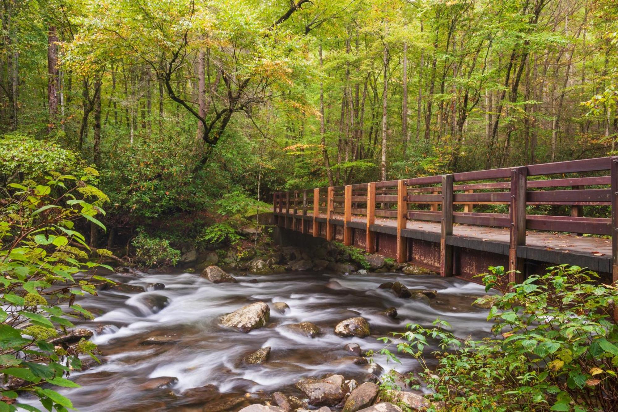 The Tiny Barn, 1089 Free Tickets Each Paid Day, Dollywood And More Sevierville Bagian luar foto